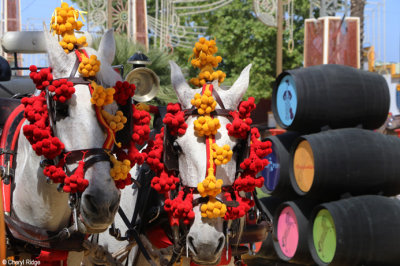 0800-feria-del-caballo.jpg