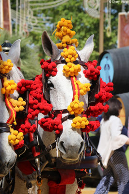 0801-(2)-feria-del-caballo.jpg