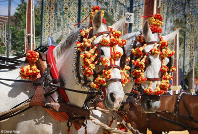 0804-(2)-feria-del-caballo.jpg