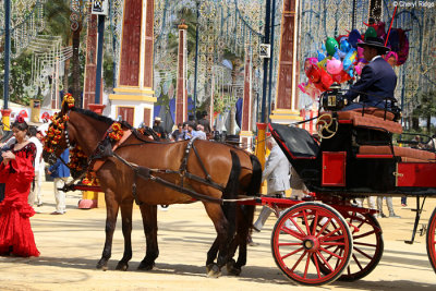 0805-(2)-feria-del-caballo.jpg