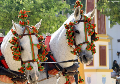 0811-(2)-feria-del-caballo.jpg