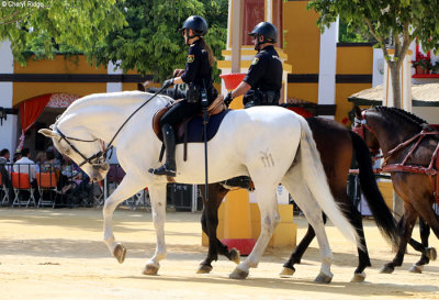 0814-feria-del-caballo.jpg