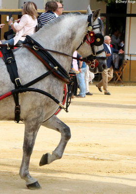 0840-feria-del-caballo.jpg