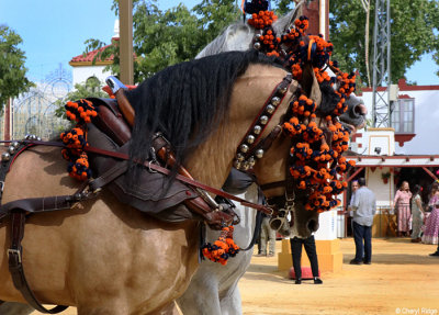 0851-feria-del-caballo.jpg
