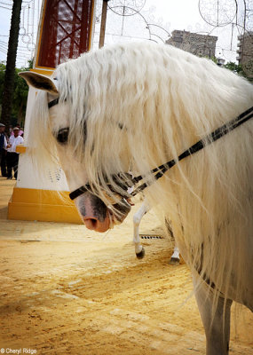 0870-feria-del-caballo.jpg