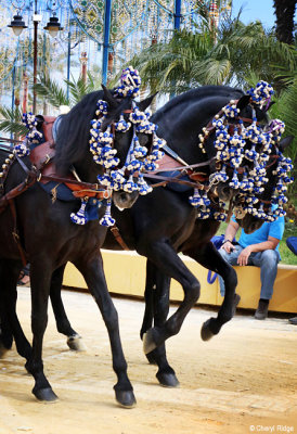 0873-feria-del-caballo2.jpg
