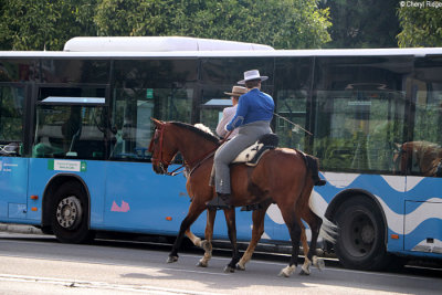 0889-feria-del-caballo.jpg
