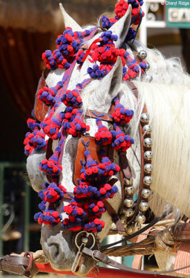 1548-feria-del-caballo.jpg