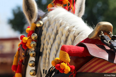 1553-feria-del-caballo.jpg