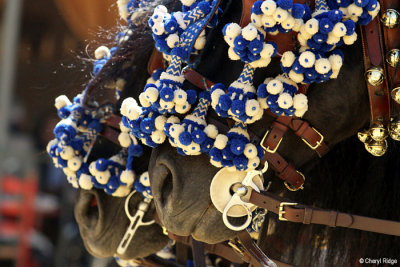 1555-feria-del-caballo.jpg