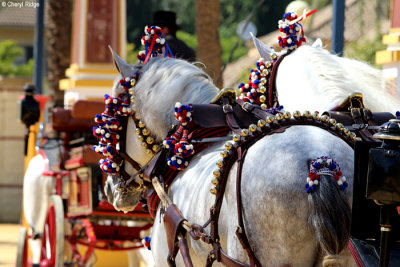 1558-feria-del-caballo.jpg
