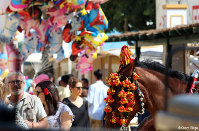 1566-feria-del-caballo.jpg