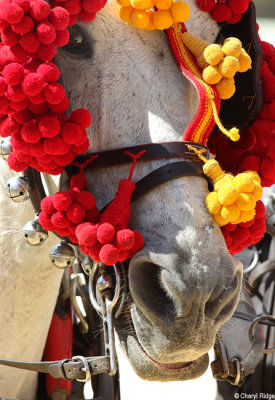1569-feria-del-caballo.jpg