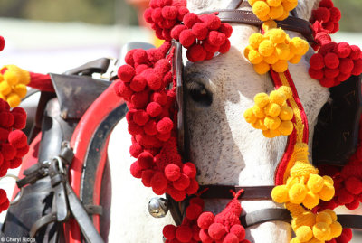 1570-feria-del-caballo.jpg