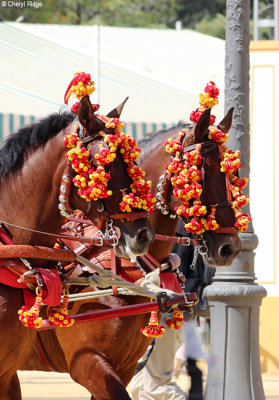 1580-feria-del-caballo.jpg
