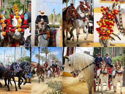 feria-del-caballo.jpg