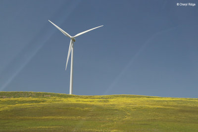 0163-medina-sidonia.jpg