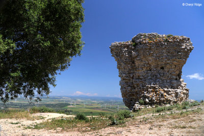 0202-medina-sidonia.jpg