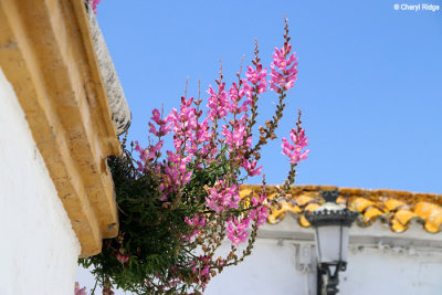 0207-medina-sidonia.jpg