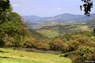 0681-ronda-to-grazalema.jpg