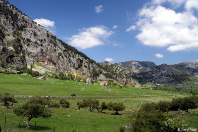 0694-ronda-to-grazalema.jpg