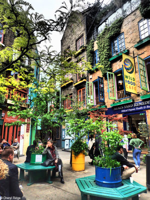 P5100547-neals-yard.jpg