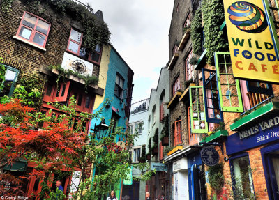 P5100552-neals-yard.jpg
