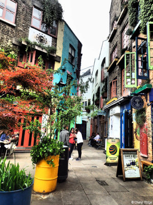 P5100557-neals-yard.jpg