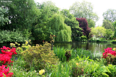 1037-st-james-park.jpg