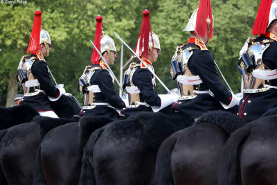 Horse guards