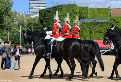 0976-horse-guards.jpg