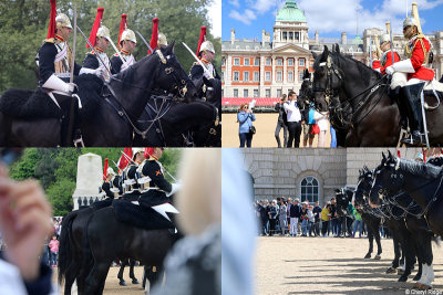 horse-guards4.jpg