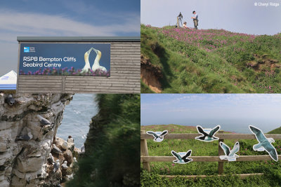 bempton-cliffs2.jpg