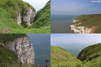 bempton-cliffs-clifftops.jpg
