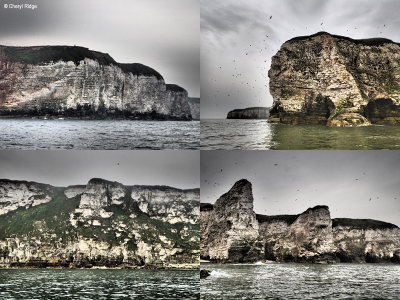 bempton-cliffs-yorkshire2.jpg