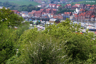 1450-whitby.jpg