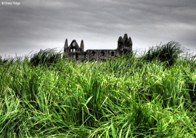 P5130849-whitby-abbey.jpg