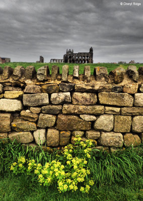 P5130856-whitby-abbey.jpg