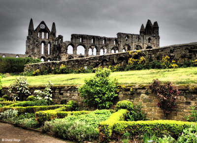 P5130885-whitby-abbey.jpg