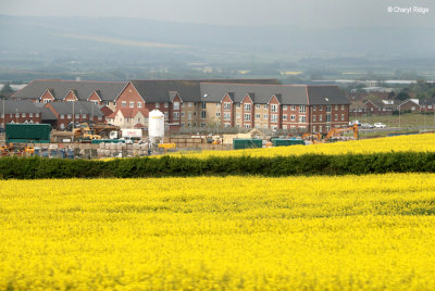1438-bridlington-to-scarborough.jpg