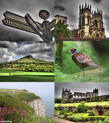 yorkshire-glimpses.jpg