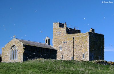 1810-inner-farne.jpg