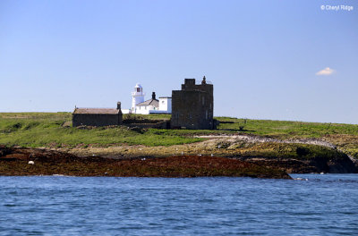 1814-inner-farne-island.jpg