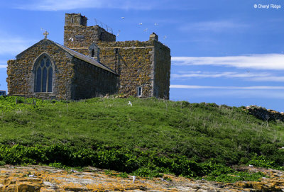 1953-inner-farne.jpg