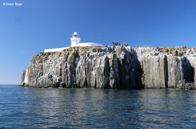 2035b-inner-farne-island.jpg