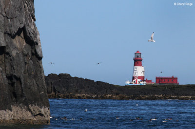 2627-longstone-lighthouse.jpg
