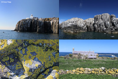 farne-islands1.jpg