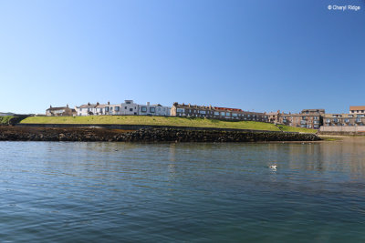 1793-seahouses.jpg