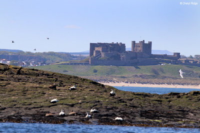 2658-northumberland.jpg