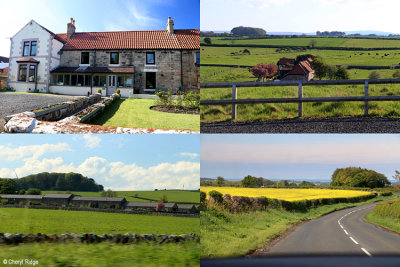 northumberland-misc.jpg